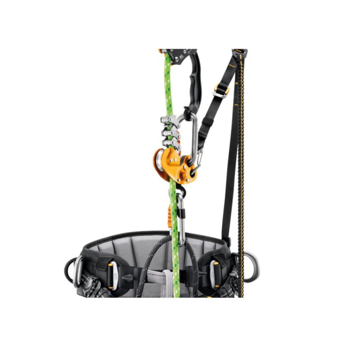SEQUOIA SRT - Slika 3