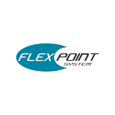 flex point system icon 2