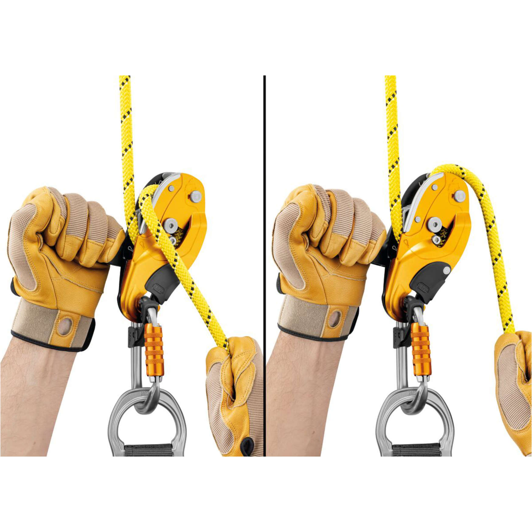 RIG® - Slika 6